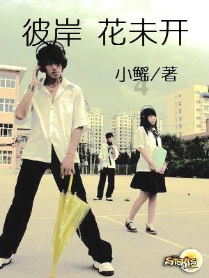 怎样做豆腐圆,专业解决您的疑问